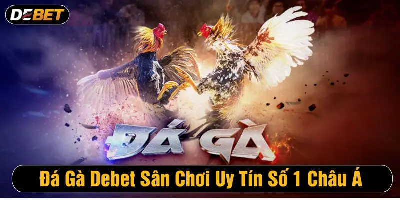 Đá gà Debet luôn thu hút sự quan tâm của cộng đồng cược thủ