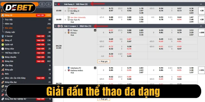 Giải đấu thể thao đa dạng 
