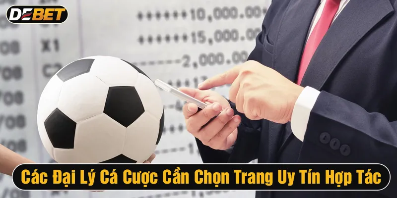 giấy phép hoạt động đại lý