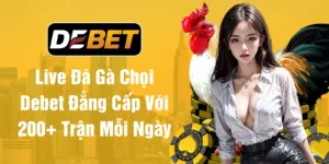 Live Đá Gà Chọi Debet Đẳng Cấp Với 200+ Trận Mỗi Ngày